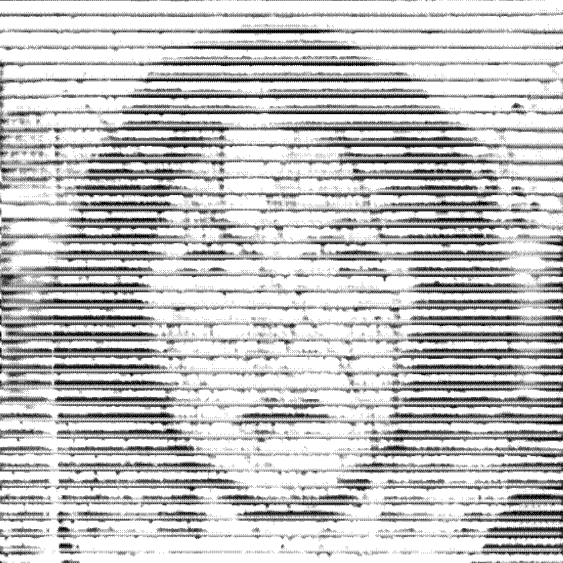 A high contrast portrait photo of artist Josephine Sales. The image is tightly cropped and processed with halftone lines that run horizontally across the width of the image. 

