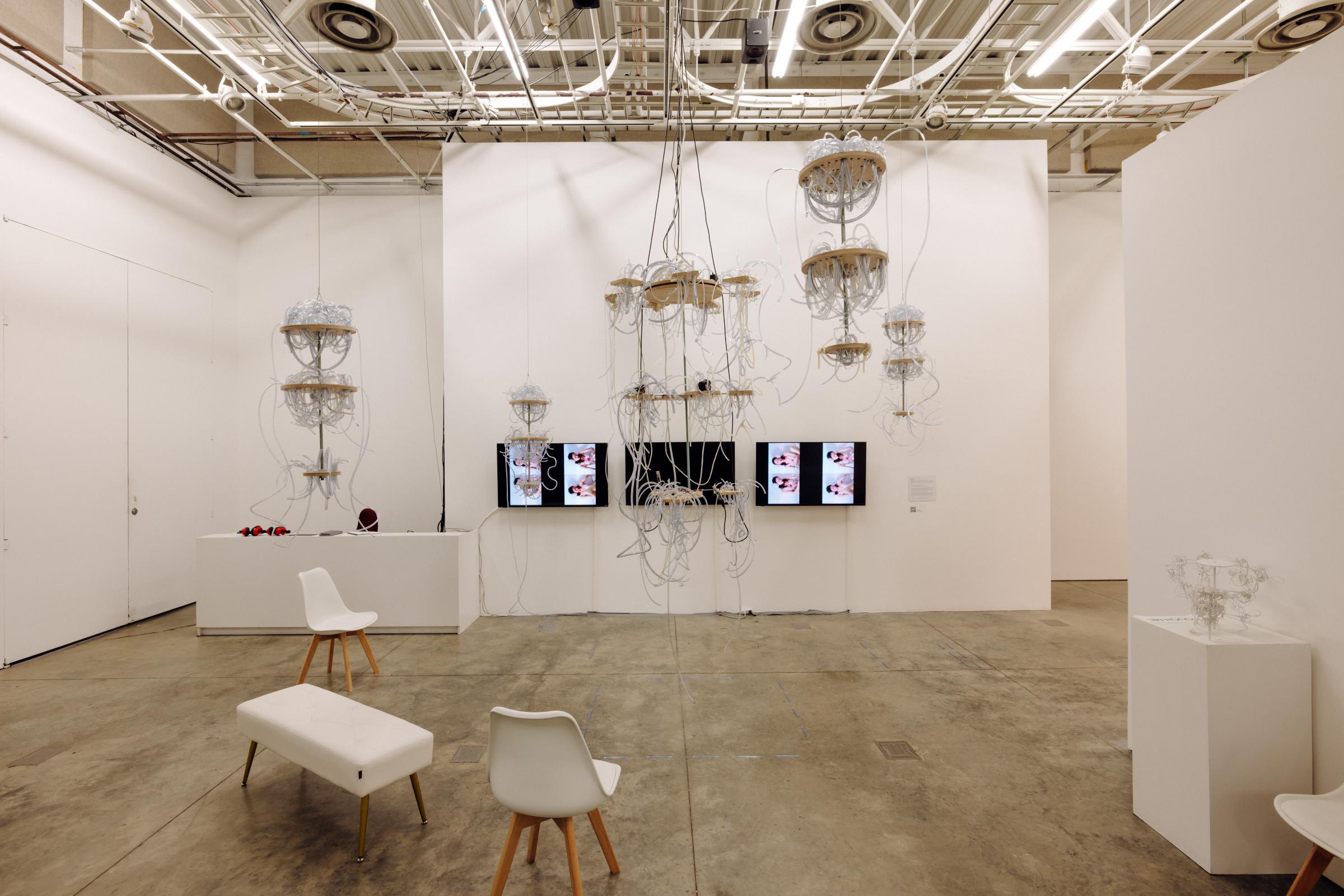 five sculptures, wooden frames threaded with masses of tubes hang from a ceiling grid framed by white gallery walls and white furniture. Three screens are mounted on the back wall.